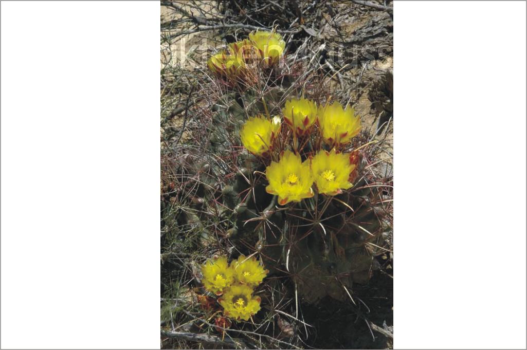 Besonderheiten AZ Seite 4